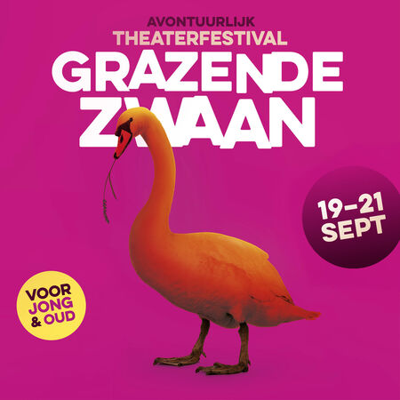 Cpunt op festival Grazende Zwaan
