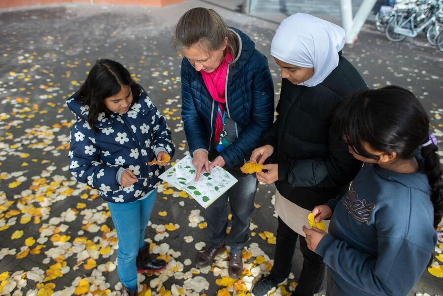 Huiswerkbegeleiding en bijles