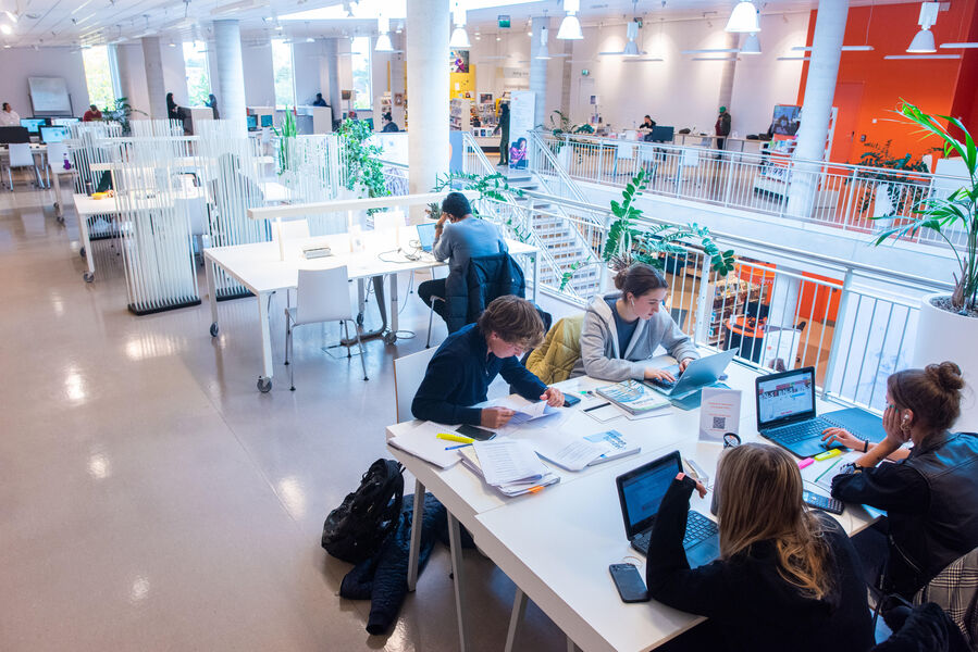 Leren en studeren in de bibliotheek