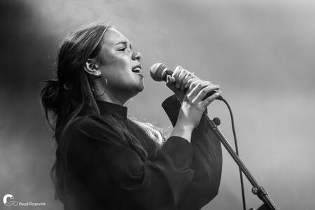Muziekbende Zomerfestival 2026 groot succes