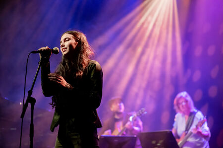 Spotify Compositieproject