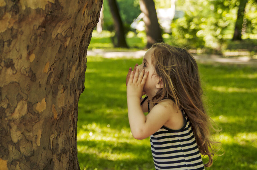Theater op de Waterlelie